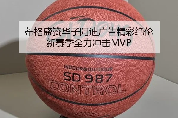 蒂格盛赞华子阿迪广告精彩绝伦 新赛季全力冲击MVP