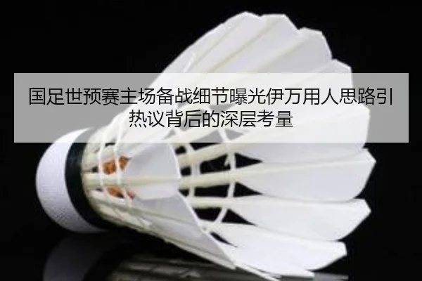 国足世预赛主场备战细节曝光伊万用人思路引热议背后的深层考量